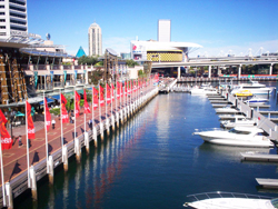 Cockle Bay Marina