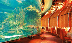 The Aquarium