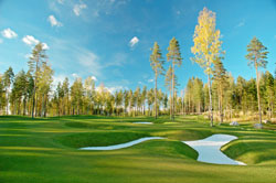 Linna Golf