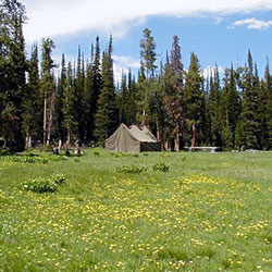 Triple Peak Cow Camp