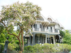    Garden District