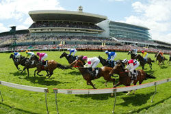 Melbourne Cup Carnival