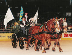 Salon du Cheval