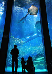 Yokohama Hakkeijima Sea Paradise