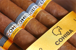 Cohiba