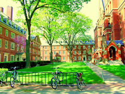 Harvard University