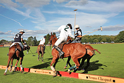 Veuve Clicquot Gold Cup