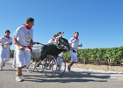 Le Marathon des Chateaux du Medoc