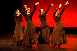 Suma Flamenco