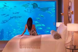 Atlantis The Palm Dubai