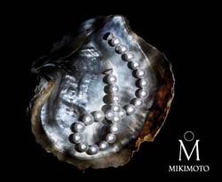  Mikimoto    